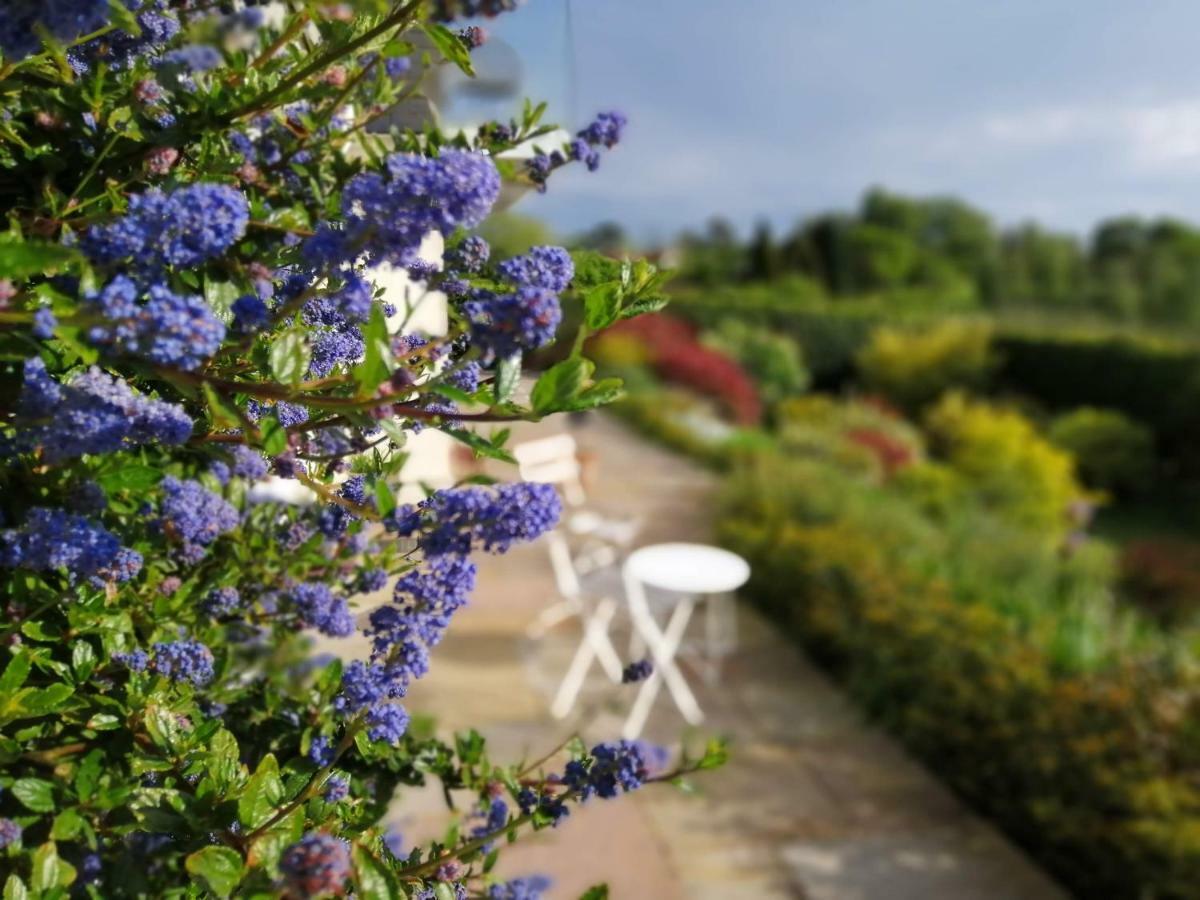 هاوكورست Meadow Cottage Bed & Breakfast المظهر الخارجي الصورة