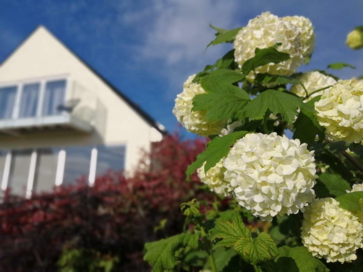 هاوكورست Meadow Cottage Bed & Breakfast المظهر الخارجي الصورة